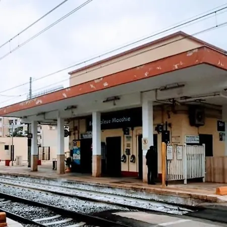 Flower's House Di Doris Simone Villa