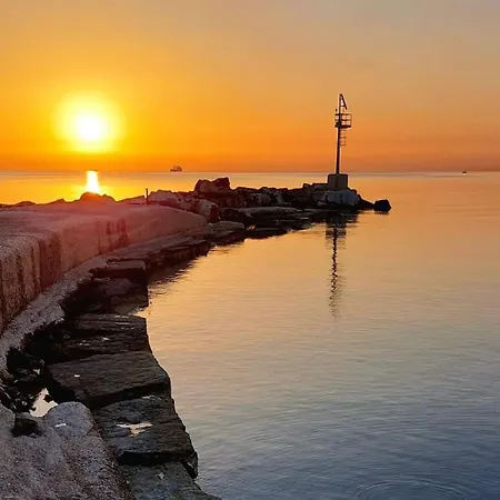 Flower's House Di Doris Simone * Bari