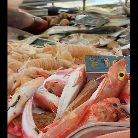 Flower's House Di Doris Simone Villa