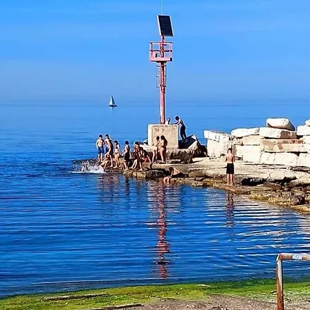 Flower's House Di Doris Simone * Бари