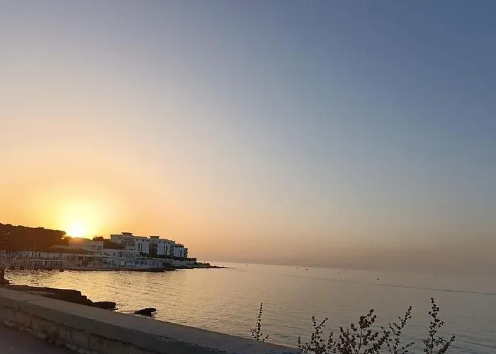 Villa Flower's House Di Doris Simone Bari