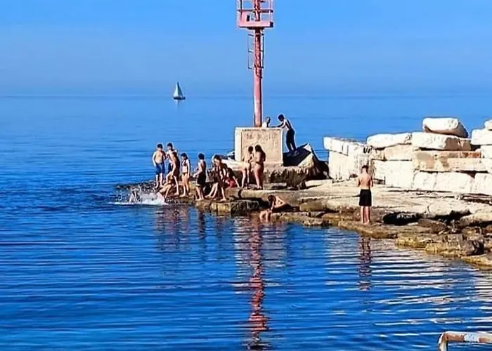 Flower's House Di Doris Simone * Bari