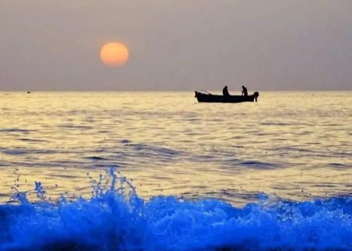 Flower's House Di Doris Simone * Bari