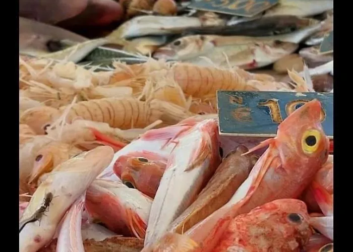 Flower's House Di Doris Simone Villa